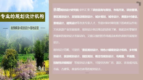 龙泉旅游景区规划设计公司的服务内容与费用解析