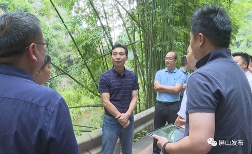 代军深入龙华镇调研指导，聚焦旅游项目开发新蓝图